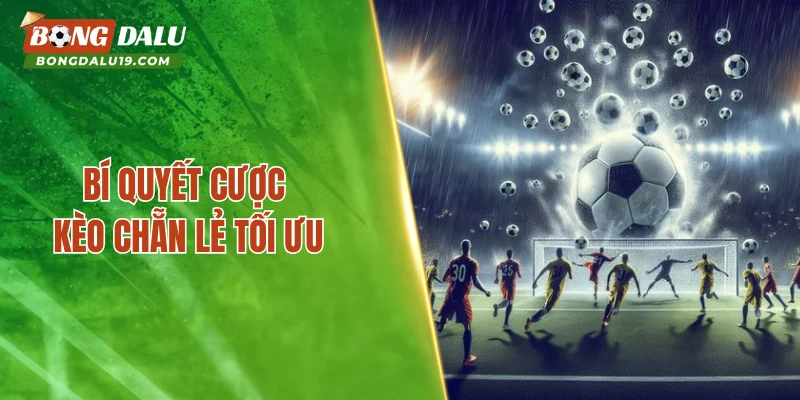 Bí quyết cược kèo chẵn lẻ tối ưu