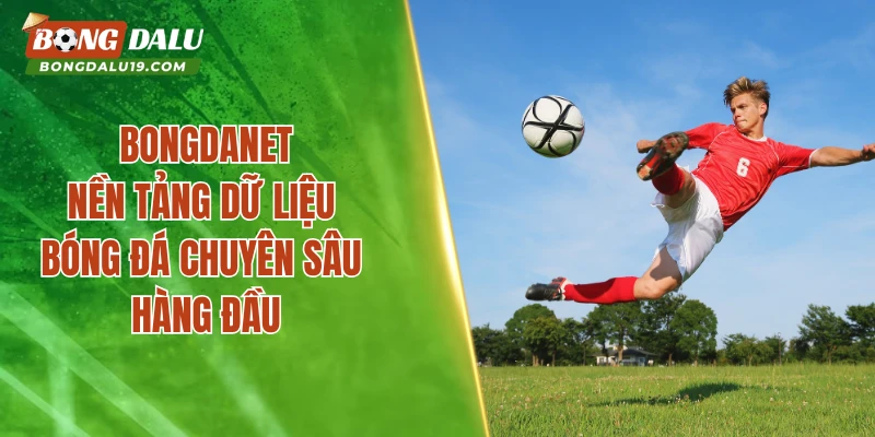 bongdanet