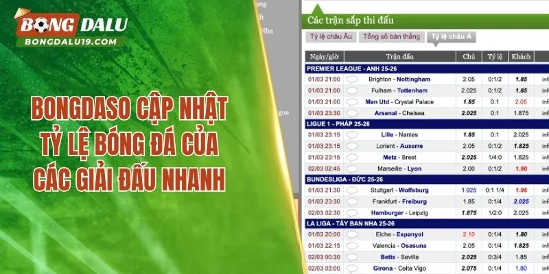 Bongdaso cập nhật tỷ lệ bóng đá của các giải đấu nhanh