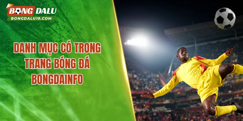 Danh mục có trong trang bóng đá Bongdainfo