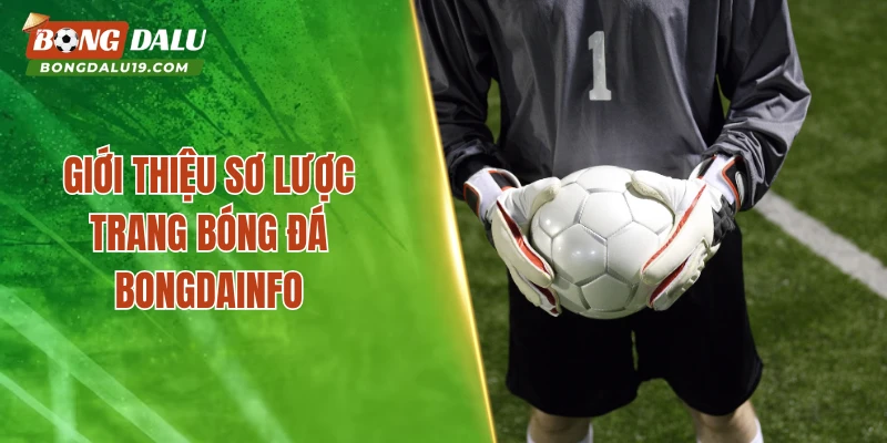 Giới thiệu sơ lược trang bóng đá Bongdainfo