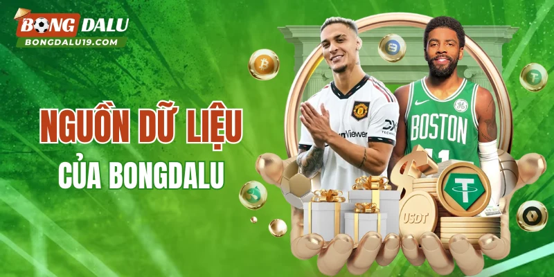 Nguồn dữ liệu thống kê của BONGDALU ở đâu