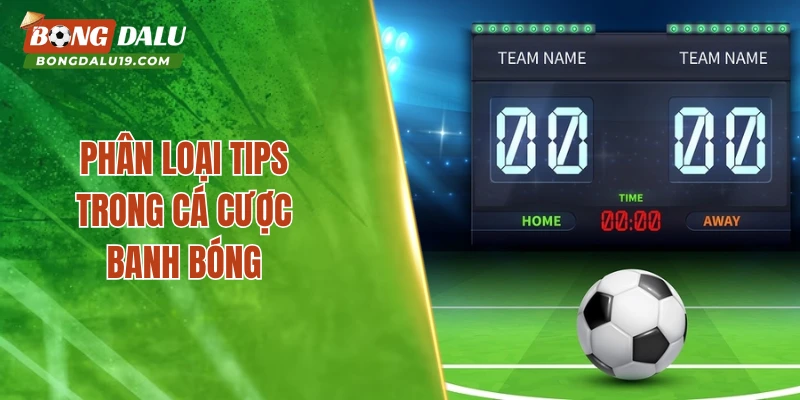 Phân loại tips trong cá cược banh bóng 