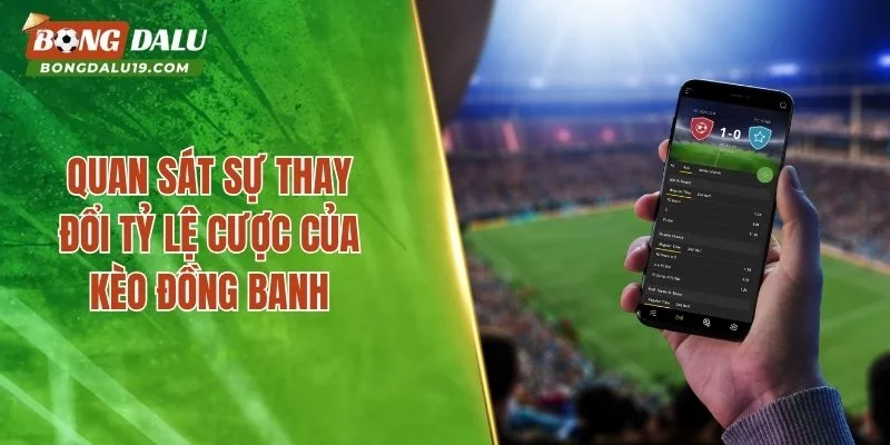 Quan sát sự thay đổi tỷ lệ cược của kèo đồng banh