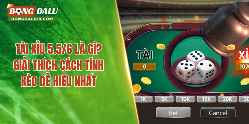 Tài Xỉu 5.5/6 Là Gì? Giải Thích Cách Tính Kèo Dễ Hiểu Nhất