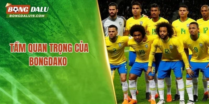 Tầm quan trọng của Bongdako